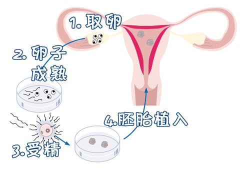健闻医疗
